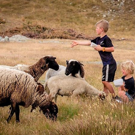Highlands Farm Stay Twizel Bagian luar foto