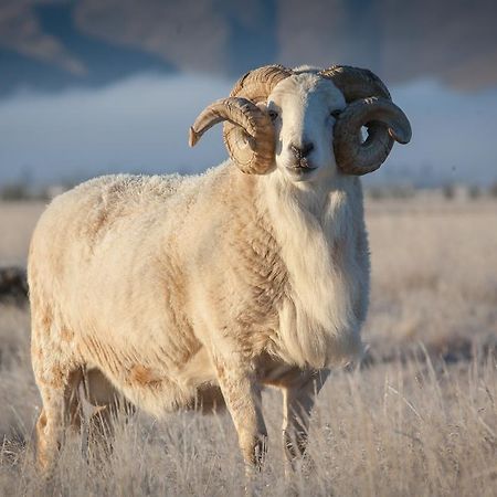 Highlands Farm Stay Twizel Bagian luar foto