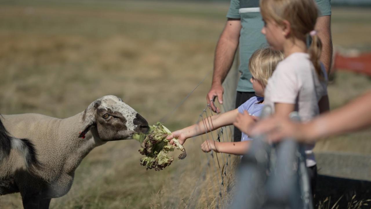 Highlands Farm Stay Twizel Bagian luar foto