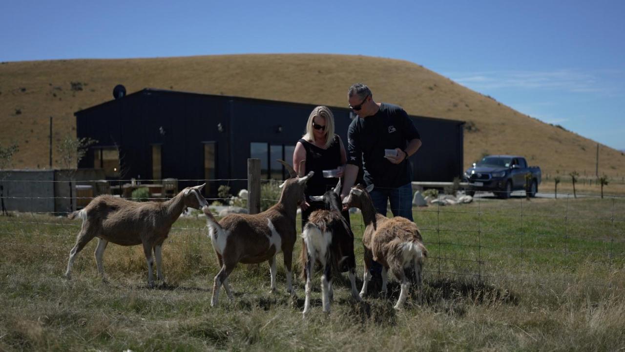 Highlands Farm Stay Twizel Bagian luar foto