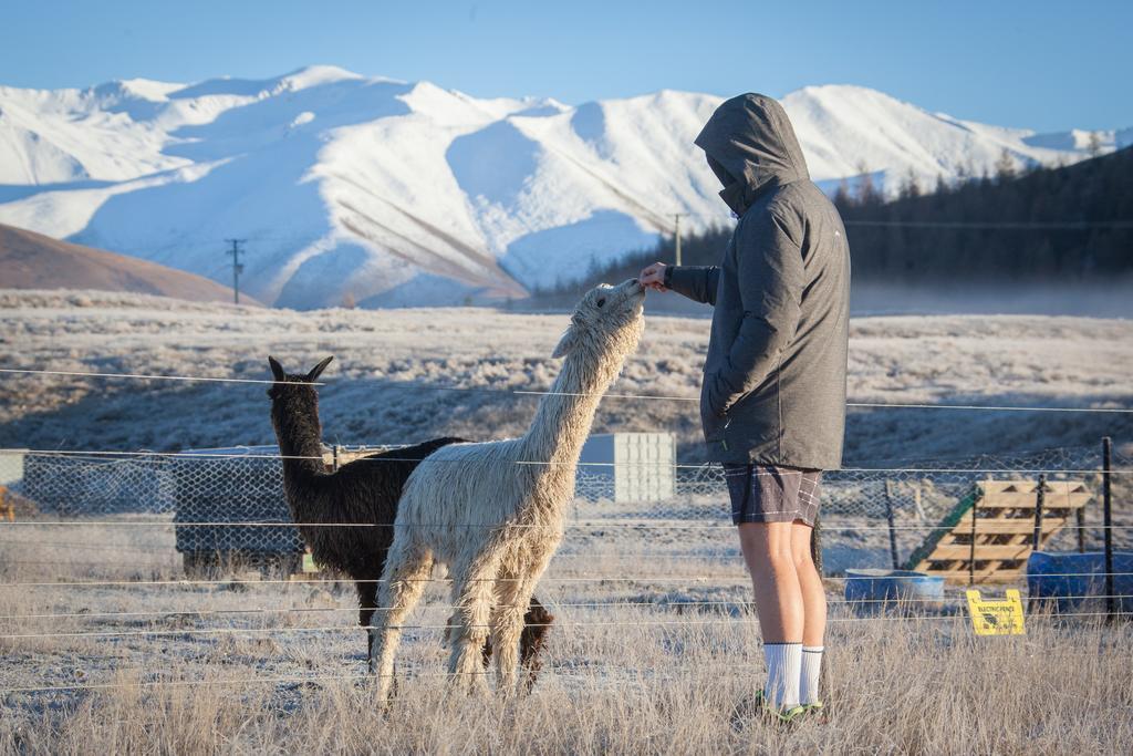 Highlands Farm Stay Twizel Bagian luar foto