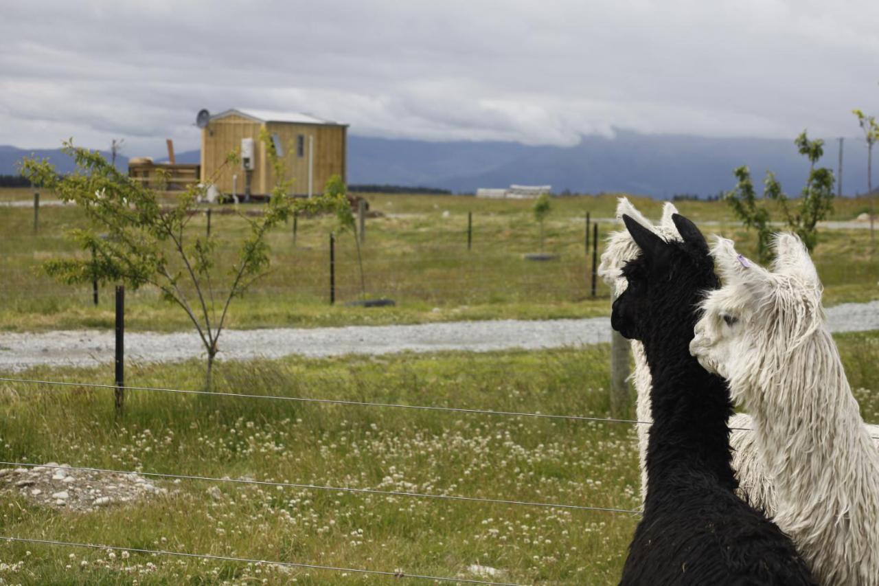 Highlands Farm Stay Twizel Bagian luar foto